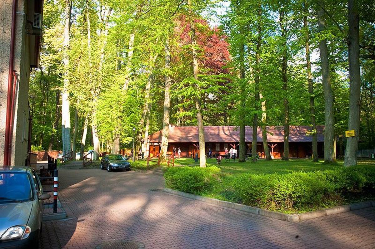 restauracja, ogród / park